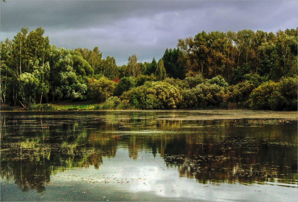 ���� �����...3 ����� dedo ������. �� PhotoGeek.ru #������ ��� ������� #���������