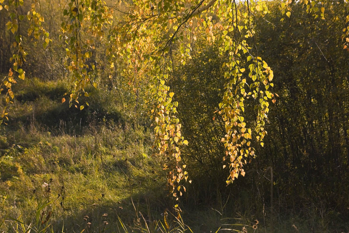 ������� ����������.. ����� dedo ������. �� PhotoGeek.ru #��������� #������ ��� �������