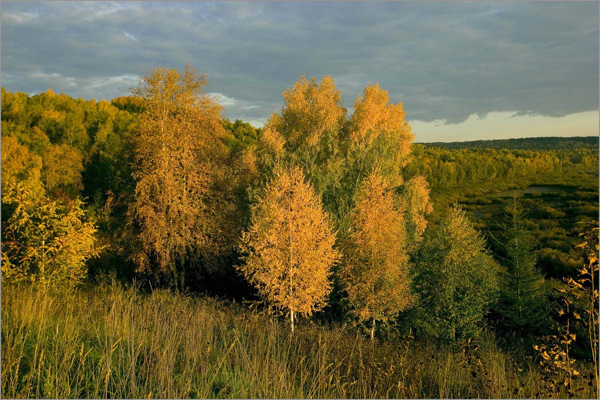 ������� ����������.. ����� dedo ������. �� PhotoGeek.ru #������ ��� ������� #���������