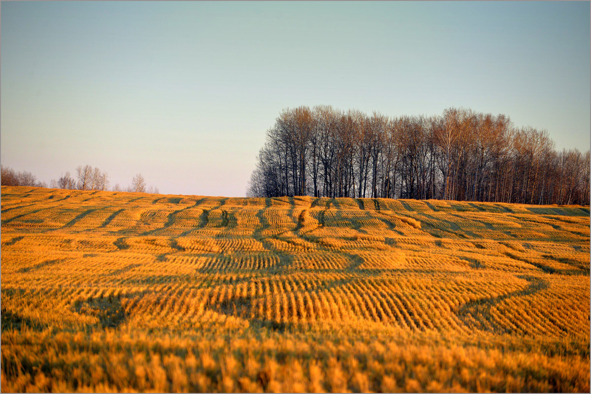 ���� ��������.. ����� dedo ������. �� PhotoGeek.ru #������ ��� ������� #����� ��������