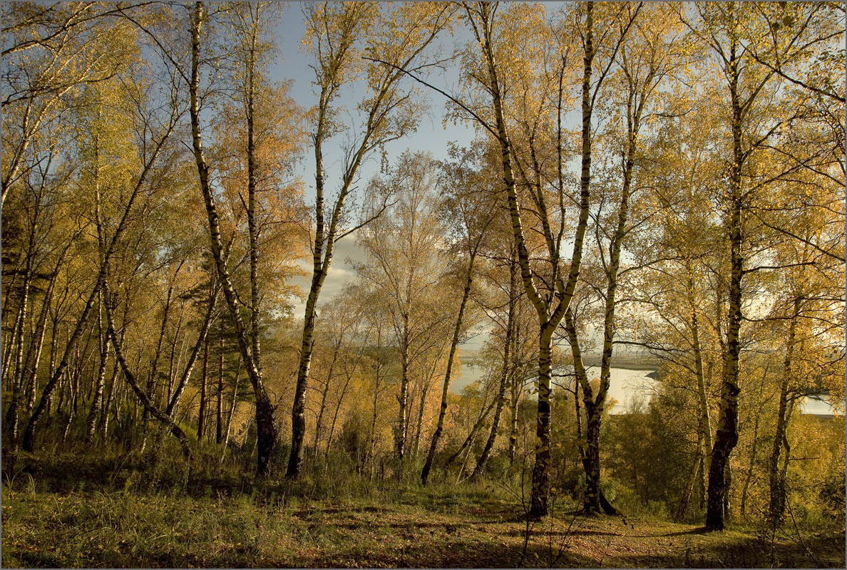 �������.... ����� dedo ������. �� PhotoGeek.ru #������ ��� ������� #���������