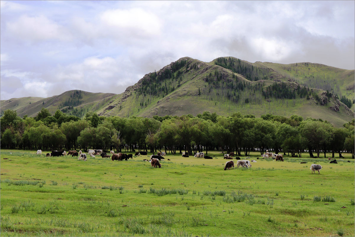 ����� ����� dedo ������. �� PhotoGeek.ru #������ ��� �������