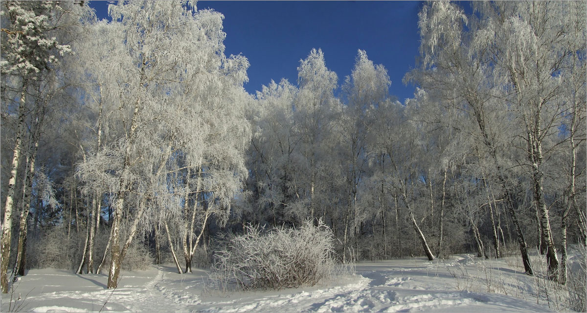 ����... ����� dedo ������. �� PhotoGeek.ru #������ ��� �������