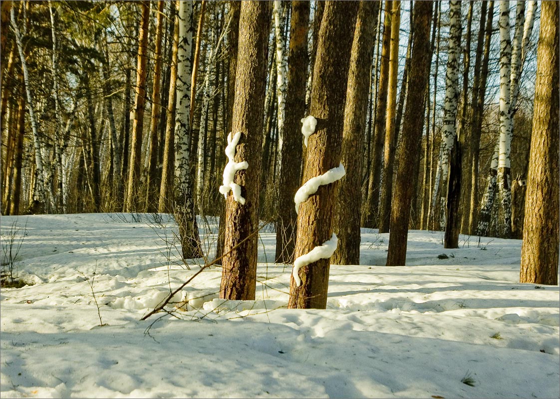 ����� ������������ ����� dedo ������. �� PhotoGeek.ru #������ ��� �������