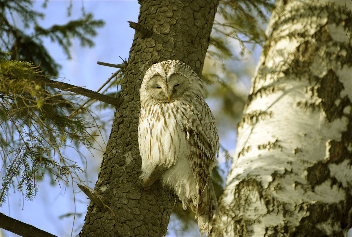 ���������� ����� ����� dedo ������. �� PhotoGeek.ru #�������� ���