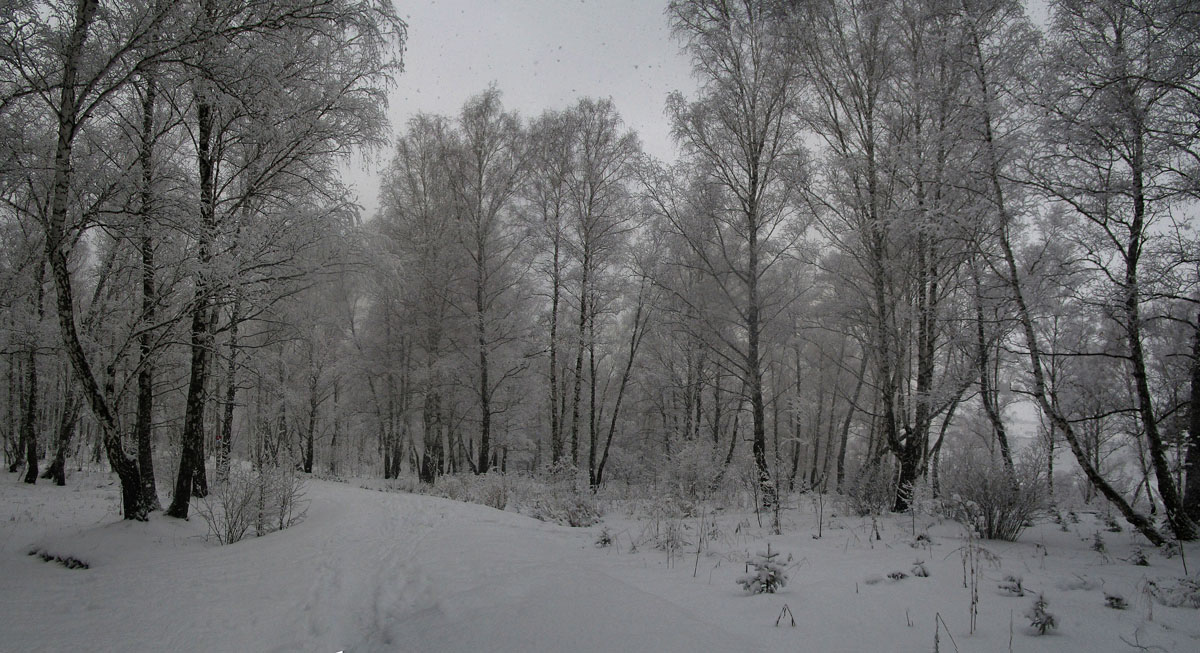 ���� �� ������ ����� dedo ������. �� PhotoGeek.ru #������ ��� �������
