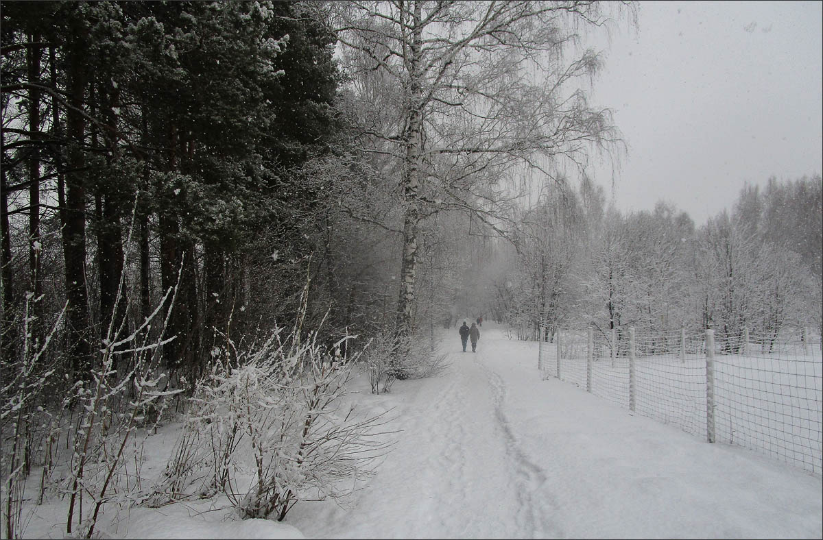 ���� �� ������ ����� dedo ������. �� PhotoGeek.ru #������ ��� �������