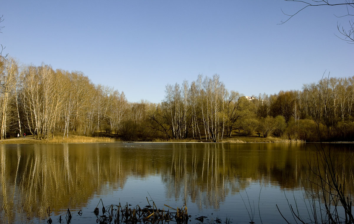 ������ ����� ����� dedo ������. �� PhotoGeek.ru #������ ��� �������