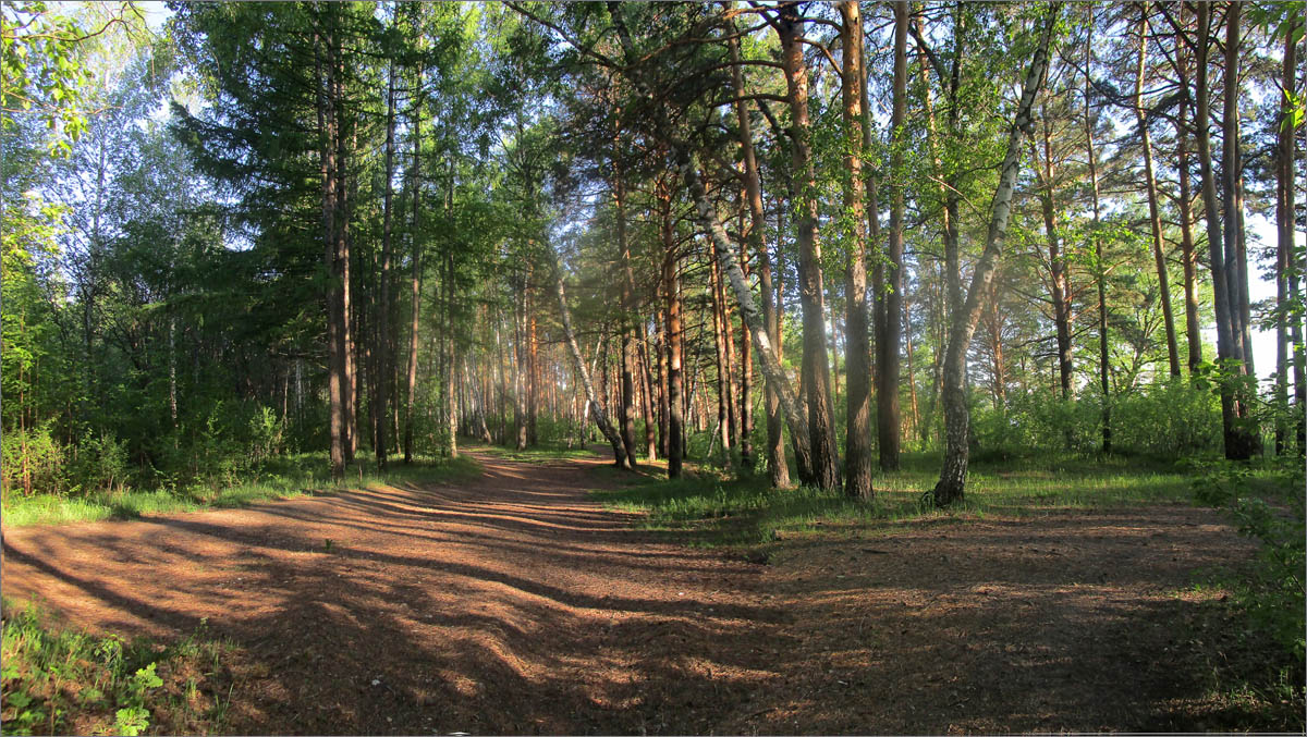 ������ ������ ����� dedo ������. �� PhotoGeek.ru #������ ��� �������