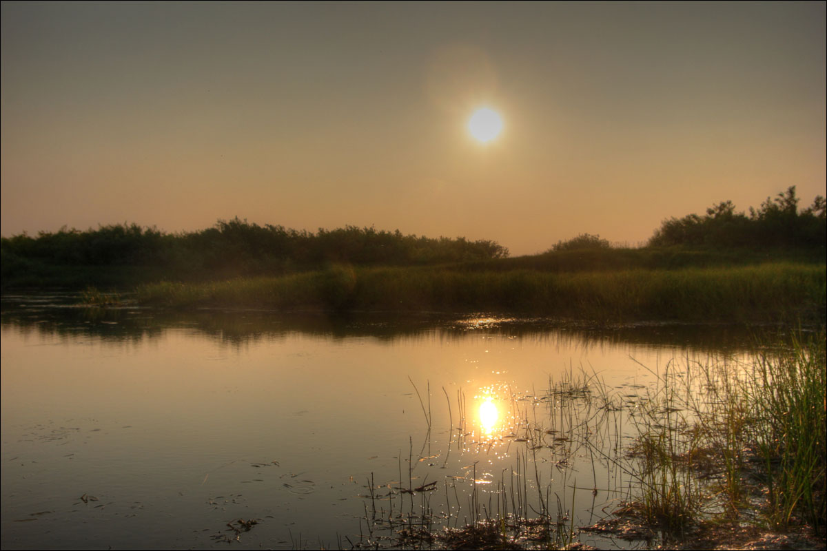 ����� �����... ����� dedo ������. �� PhotoGeek.ru #������ ��� �������