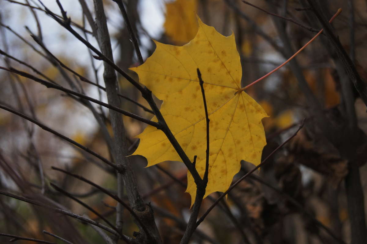 ����� ����� �������� ����� �� PhotoGeek.ru #������ ��� ������� #����� ��������������