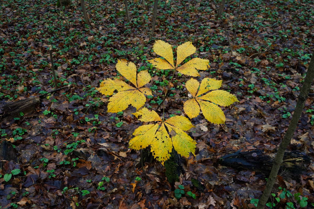 ������� ������ ����� �������� ����� �� PhotoGeek.ru #������ ��� ������� #����� �������������� #����� ��������