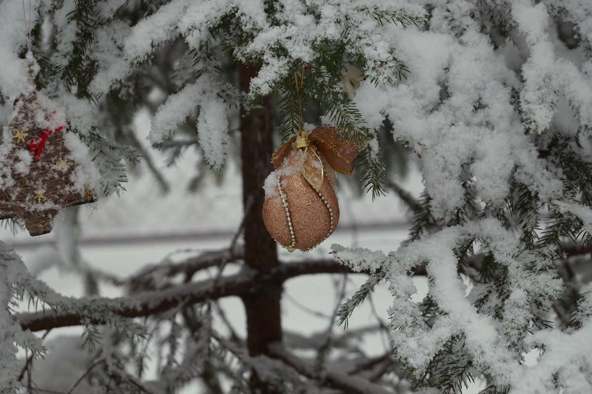 ����� ������� ����� �������� ����� �� PhotoGeek.ru #������ ��� ������� #����� �������������� #����� ��������