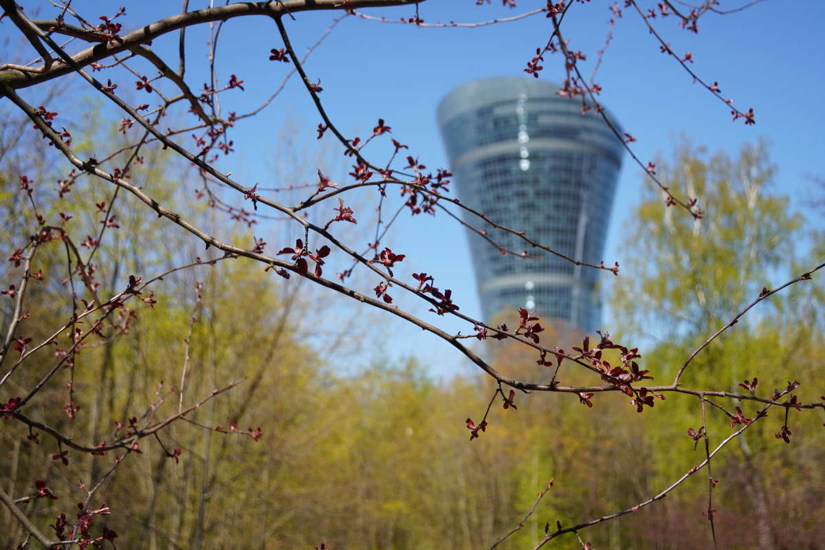 ����� � ������ ����� �������� ����� �� PhotoGeek.ru #�����