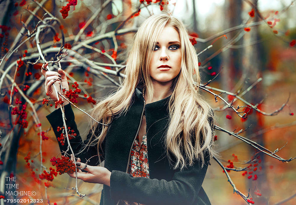 Vine of ashberry ����� ������ �������� �� PhotoGeek.ru #�������