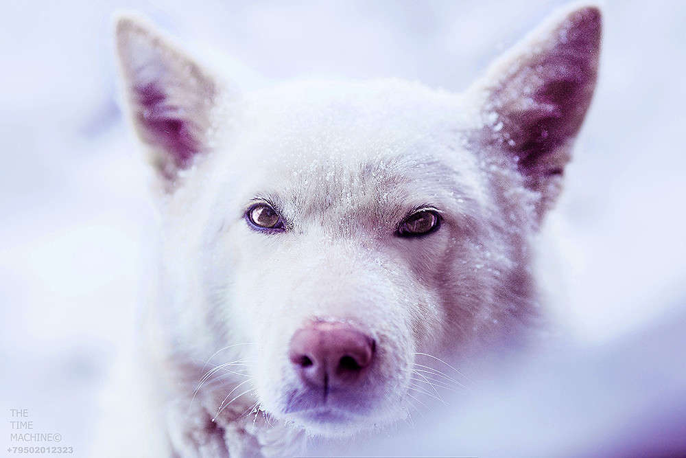 ����� ����� ������ �������� �� PhotoGeek.ru #�������� ���