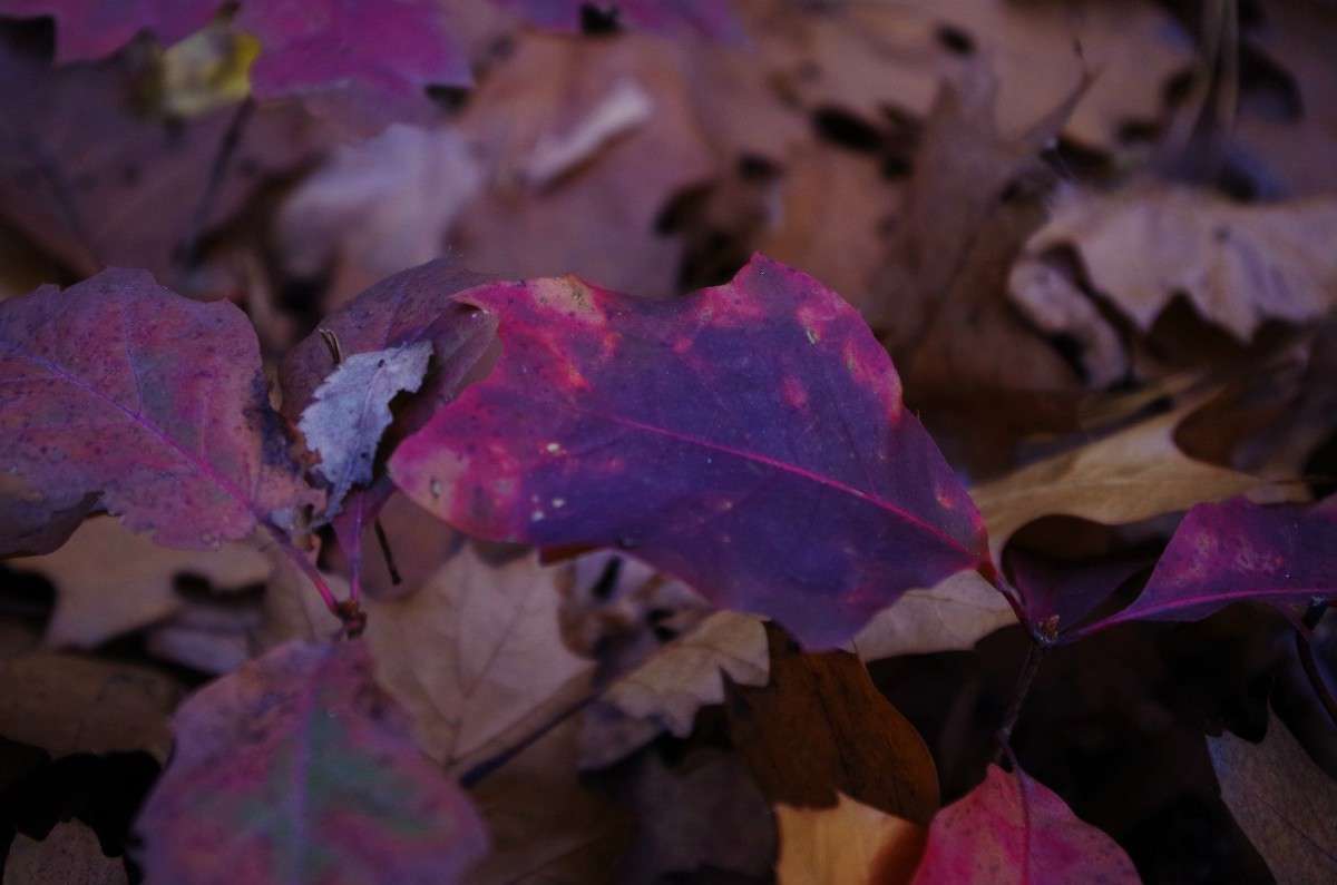 ������ ����� ���� ��������� �� PhotoGeek.ru #�������