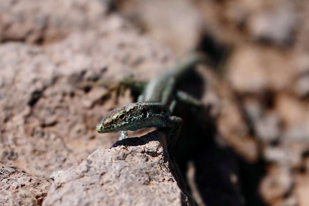 ������� ���� ����� ��������  �� PhotoGeek.ru #����� #�������� ��� #����� ��� ��� ���������