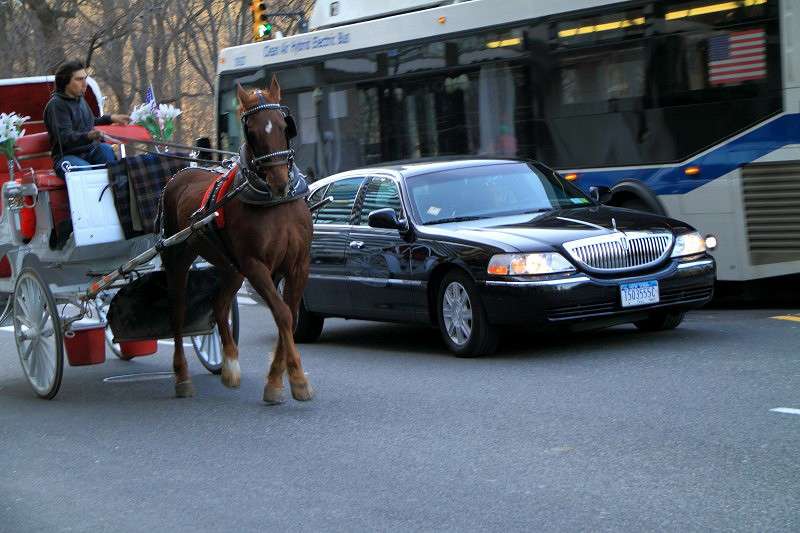 ���-�������� ��������� ����� ��������  �� PhotoGeek.ru #����� #�������� ���������� #������ ���� #��������� ������