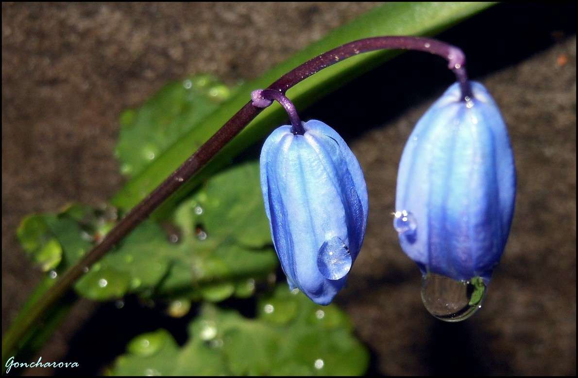 ����������� ����� ������ ��������� �� PhotoGeek.ru #����� #����� ��������������