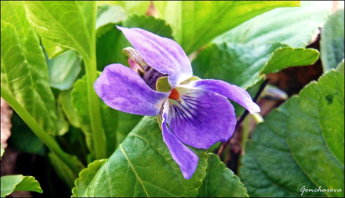 ������ ����� ������ ��������� �� PhotoGeek.ru #����� #����� ��������������