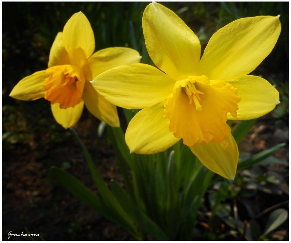 ������ ����� ������ ��������� �� PhotoGeek.ru #����� #����� ��������������