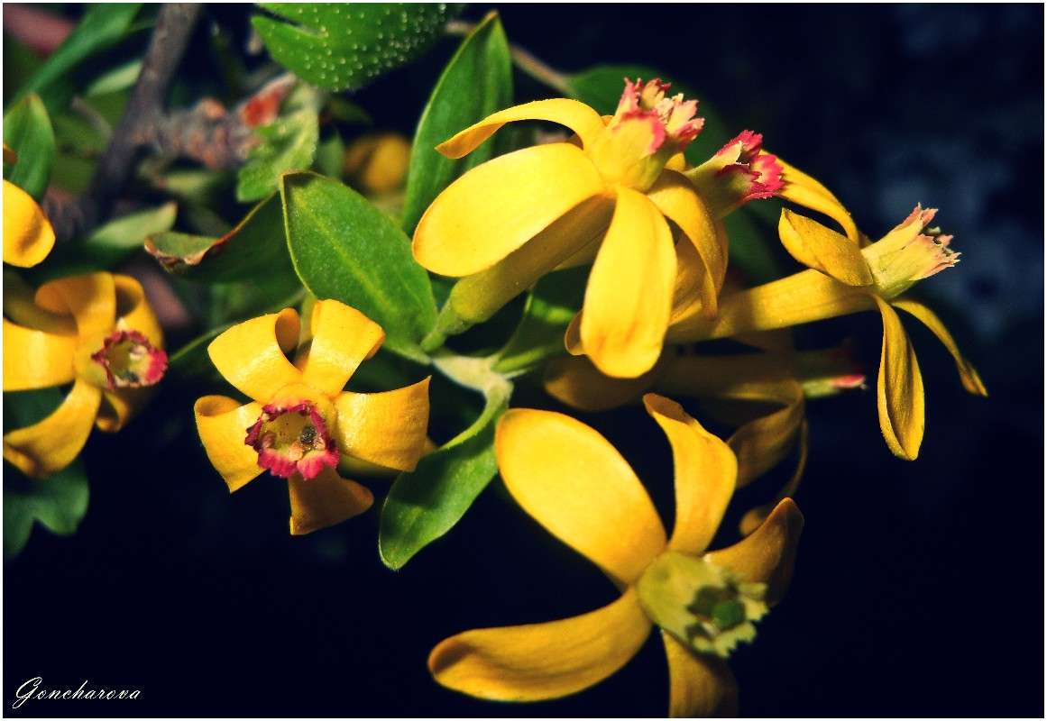 ���� ����� ������ ��������� �� PhotoGeek.ru #����� #����� ��������������