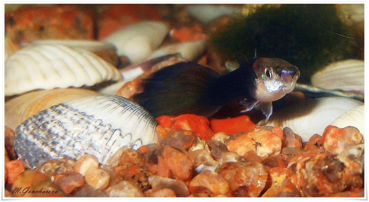 ������ ����� ����� ������ ��������� �� PhotoGeek.ru #����� #�����