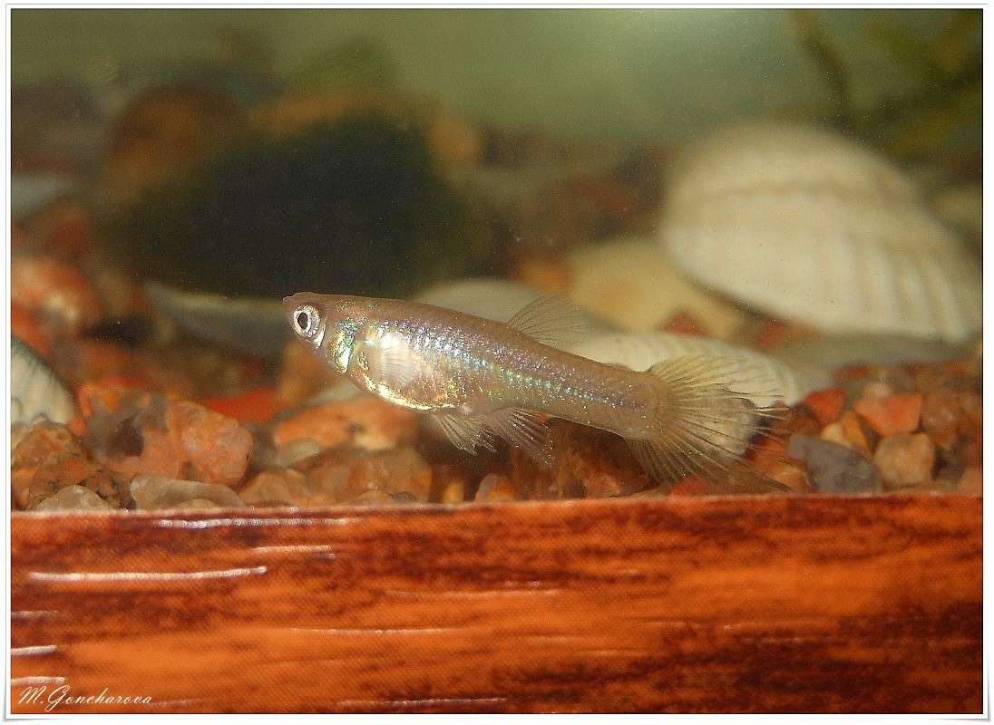 ����� ����� ����� ������ ��������� �� PhotoGeek.ru #����� #�����