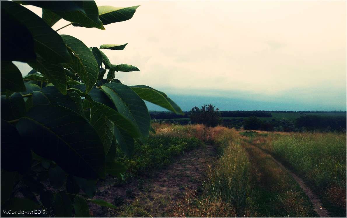 �����_2 ����� ������ ��������� �� PhotoGeek.ru #������ ��� �������