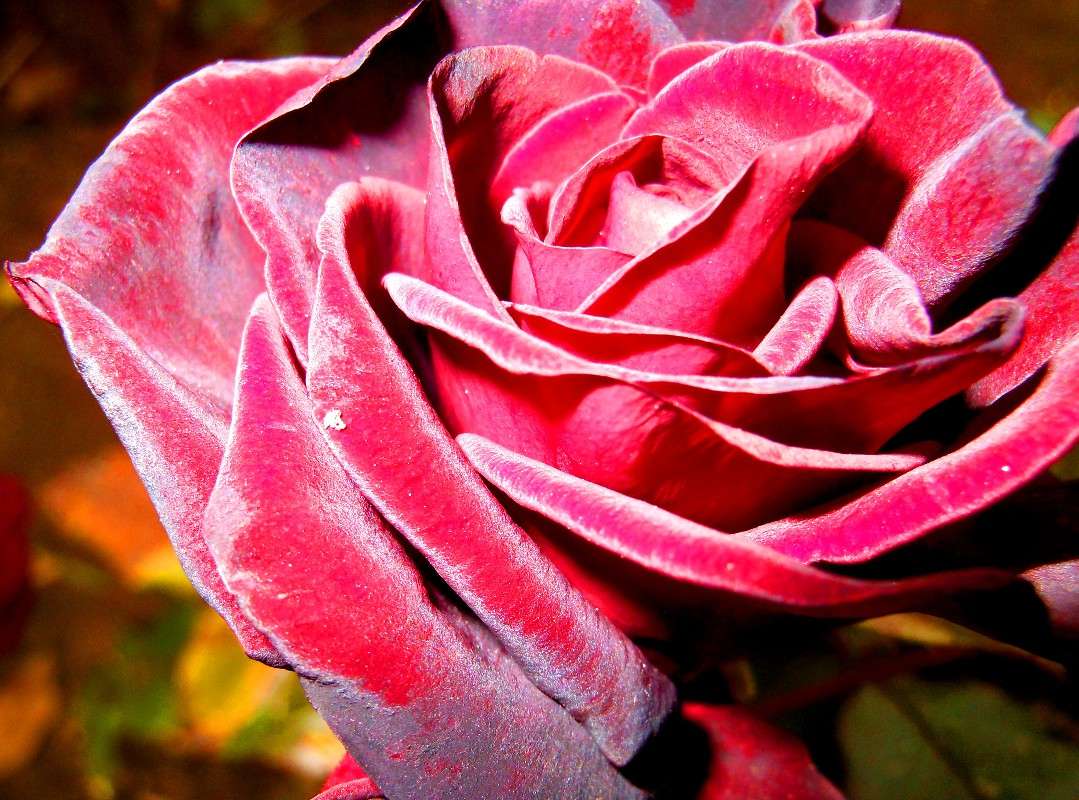 ������� ������ ����� ������ ��������� �� PhotoGeek.ru #������ ��� �������