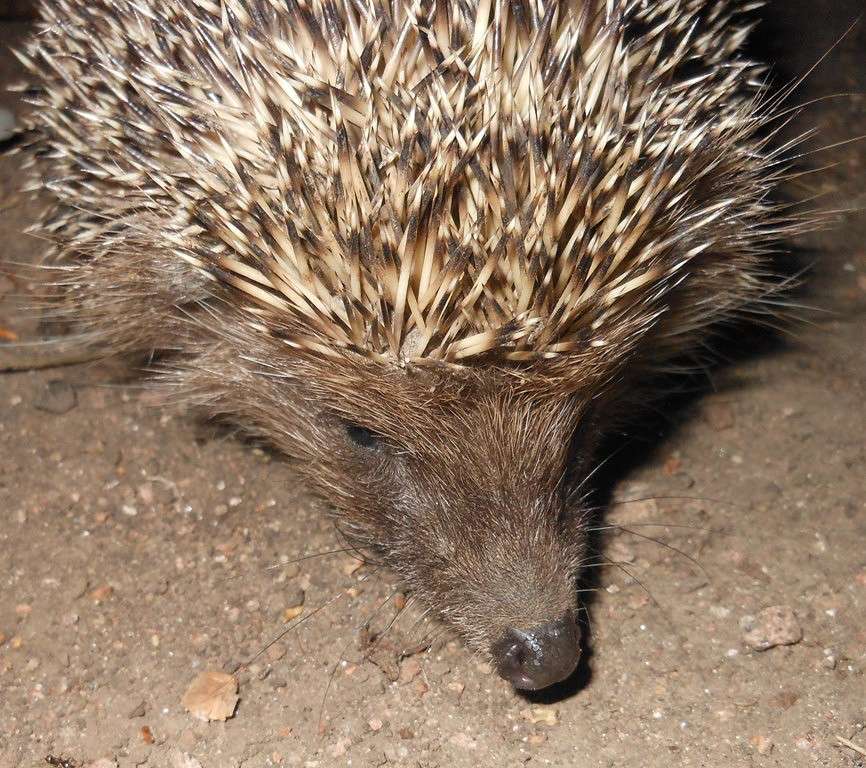 ���� ����� ������ ��������� �� PhotoGeek.ru #����� #�������� ���