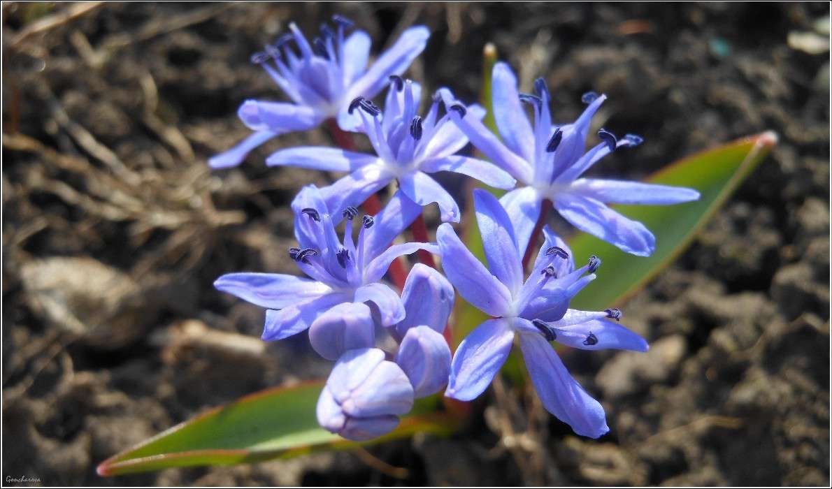 ����������� ����� ������ ��������� �� PhotoGeek.ru #����� #����� ��������������