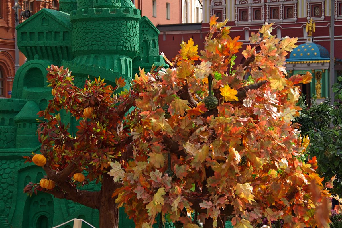 �� �������� ����� ����� ��������� �� PhotoGeek.ru #�����