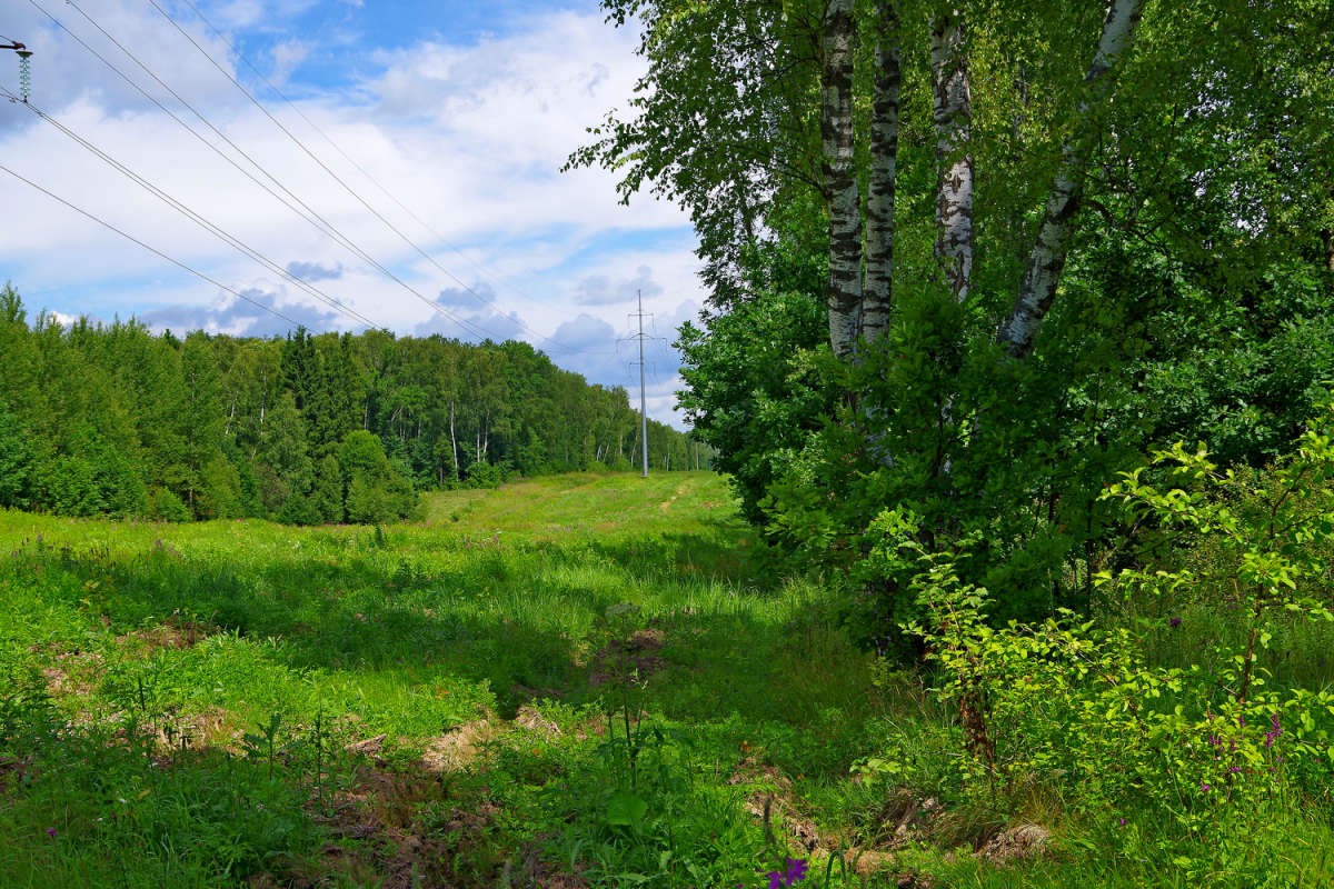 ����������� ����� ����� ��������� �� PhotoGeek.ru #������ ��� �������