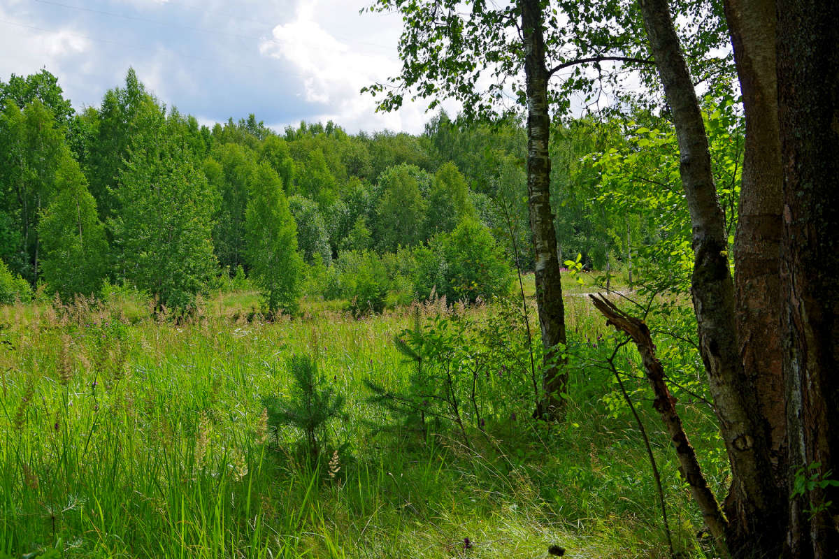 �� ������ ����� ����� ��������� �� PhotoGeek.ru #������ ��� �������