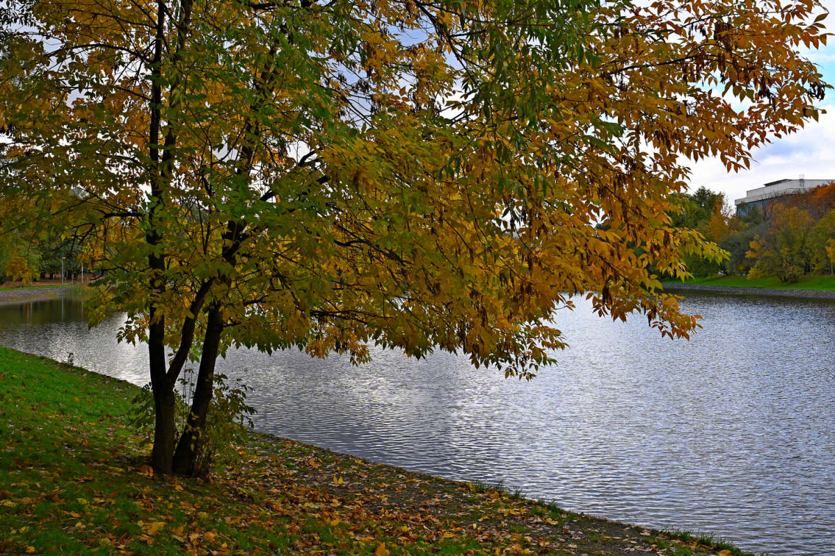 ���� ����� ����� ����� ��������� �� PhotoGeek.ru #����� #������ ��� �������