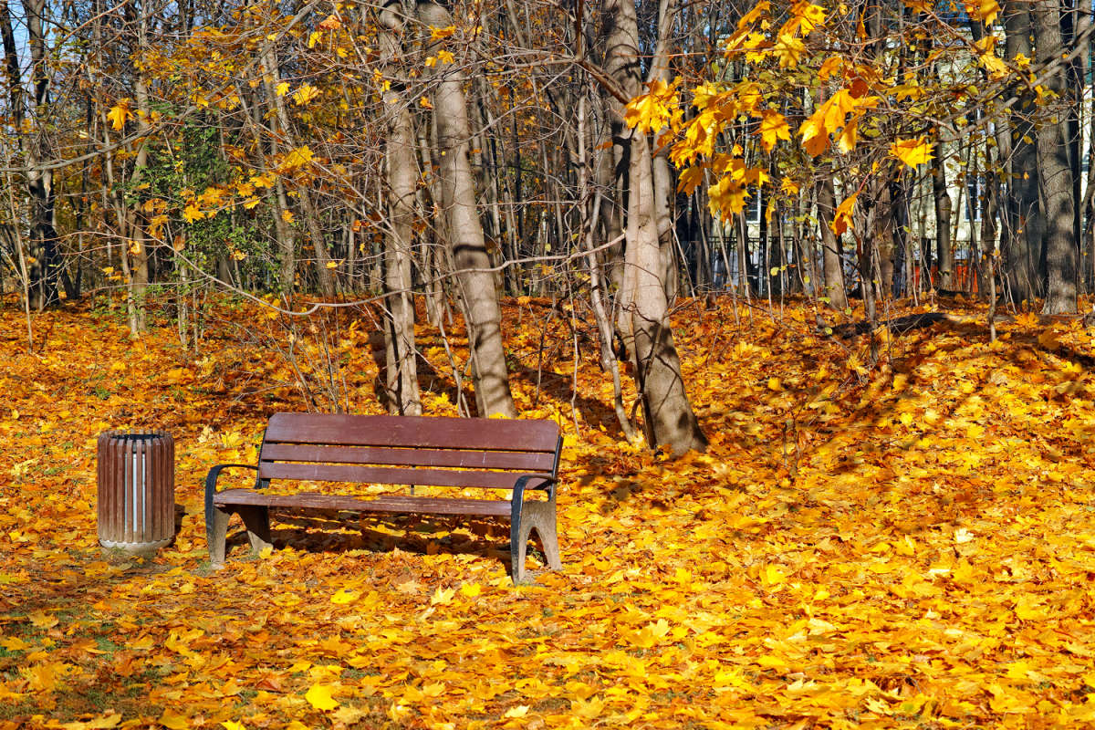 ������, ������, ������, ������ ������... ����� ����� ��������� �� PhotoGeek.ru #������ ��� �������