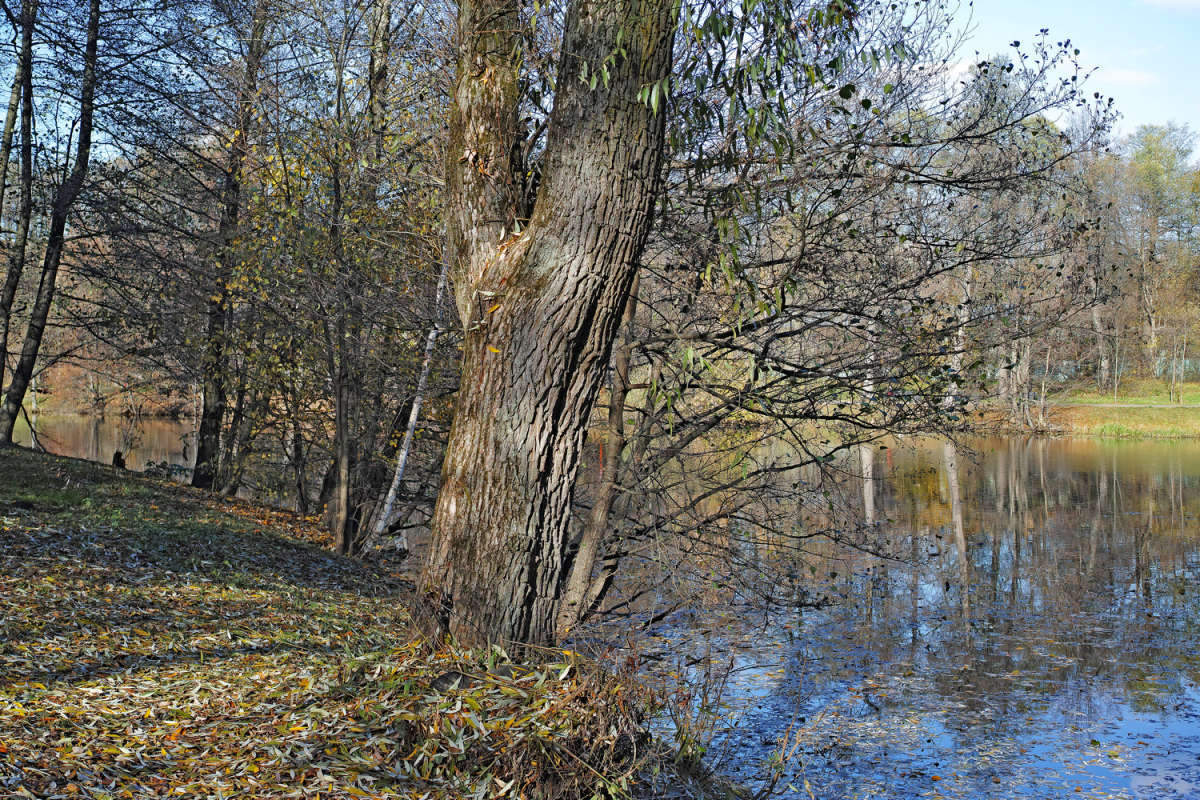 ����� ���� ����� ����� ��������� �� PhotoGeek.ru #������ ��� �������