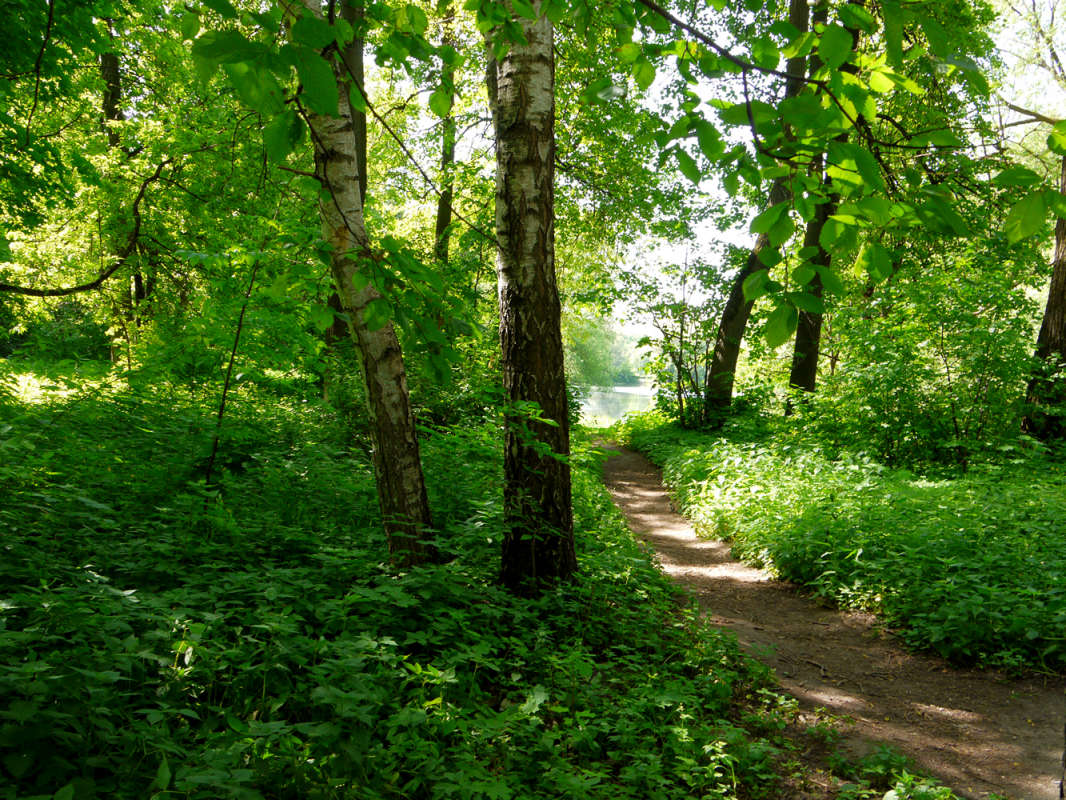 ����������� ���� ����� ����� ��������� �� PhotoGeek.ru #������ ��� �������