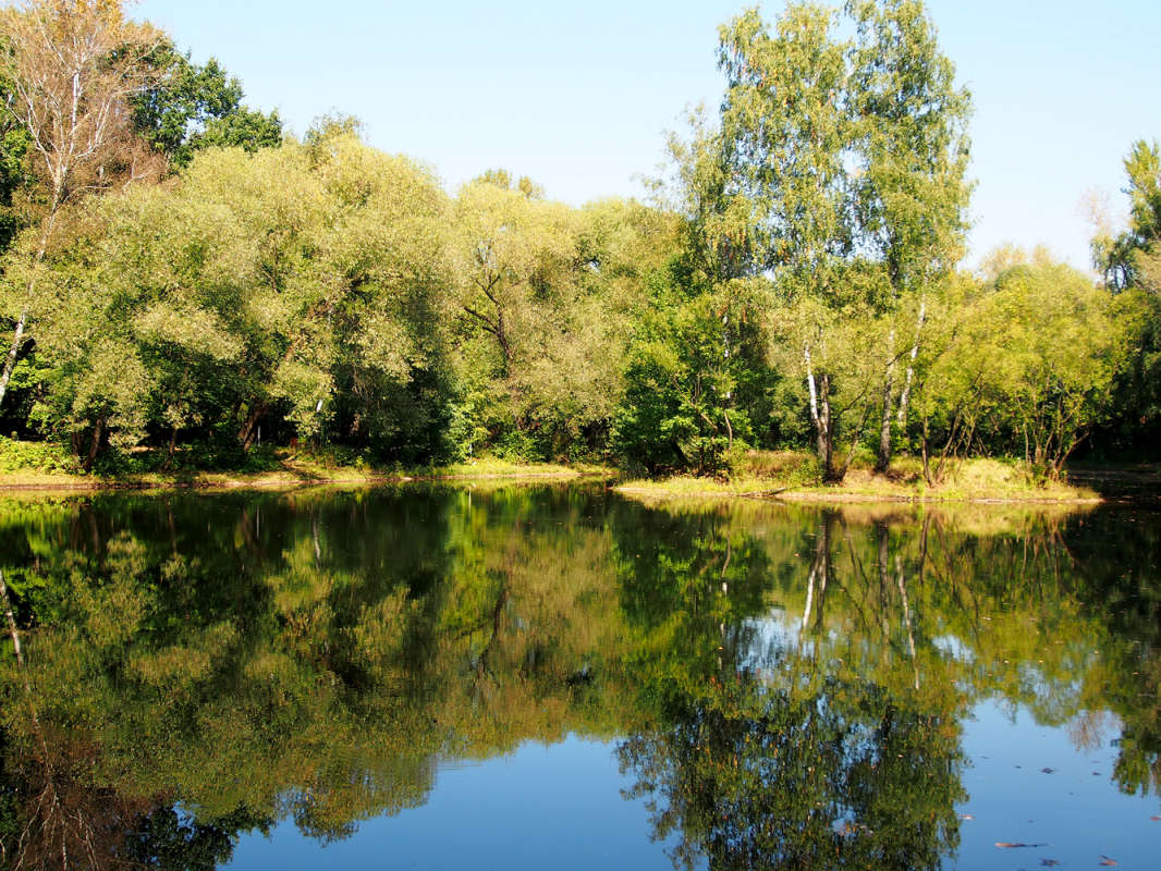 ���������� �������� ����� ����� ��������� �� PhotoGeek.ru #������ ��� �������