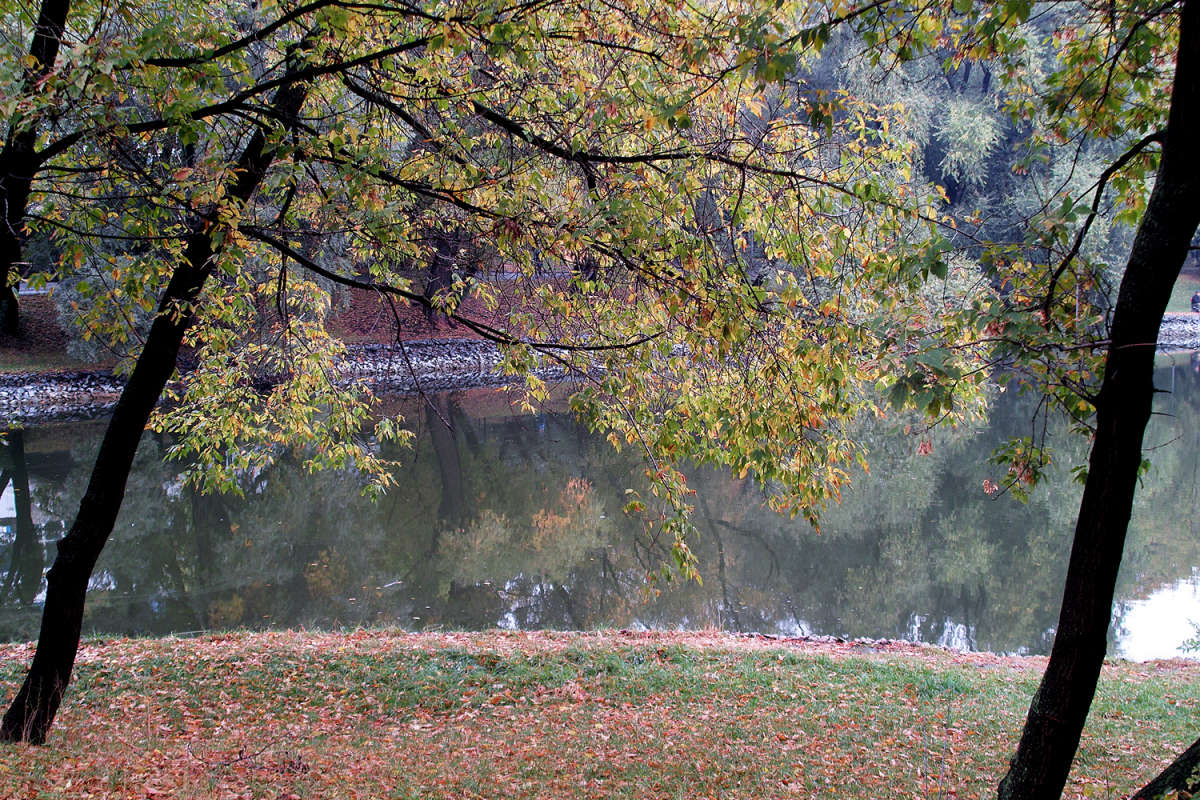 � ��������� ����� ����� ����� ��������� �� PhotoGeek.ru #������ ��� �������