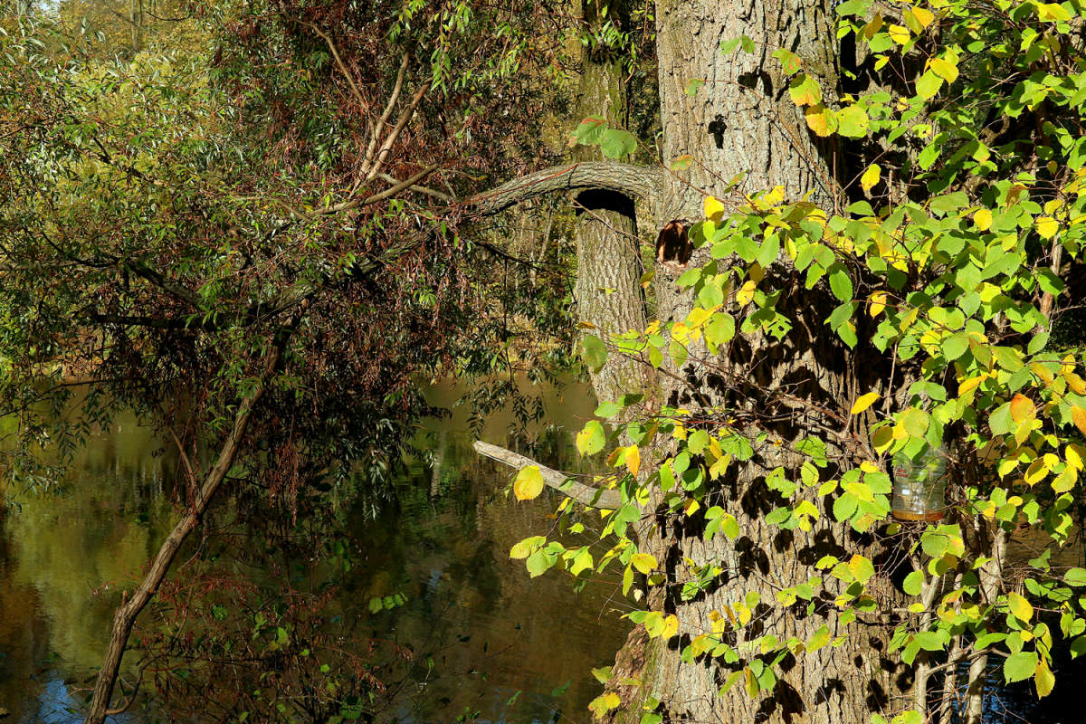 ����� ���� ����� ����� ��������� �� PhotoGeek.ru #������ ��� �������