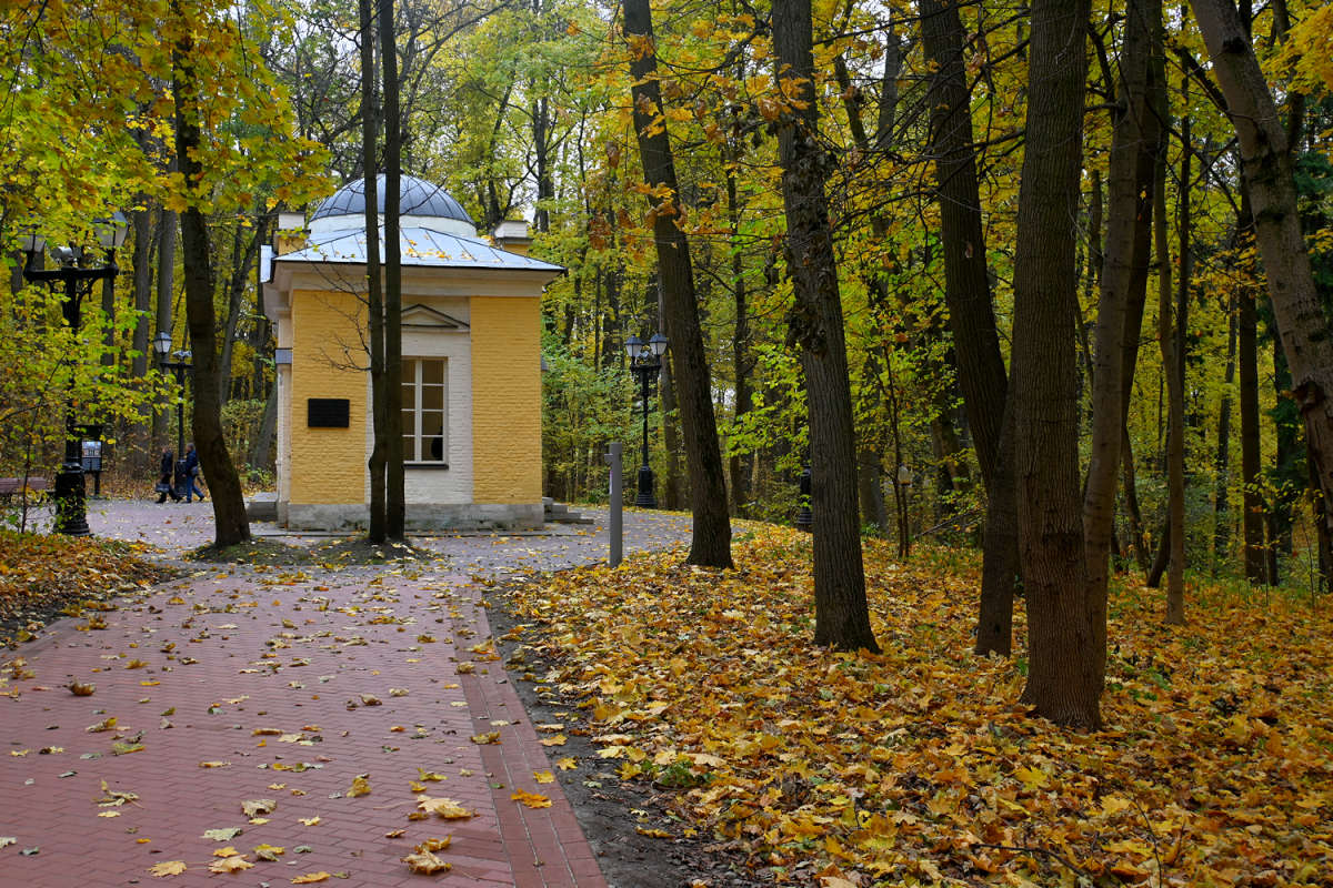 �������� ����� ����� ��������� �� PhotoGeek.ru #�����������