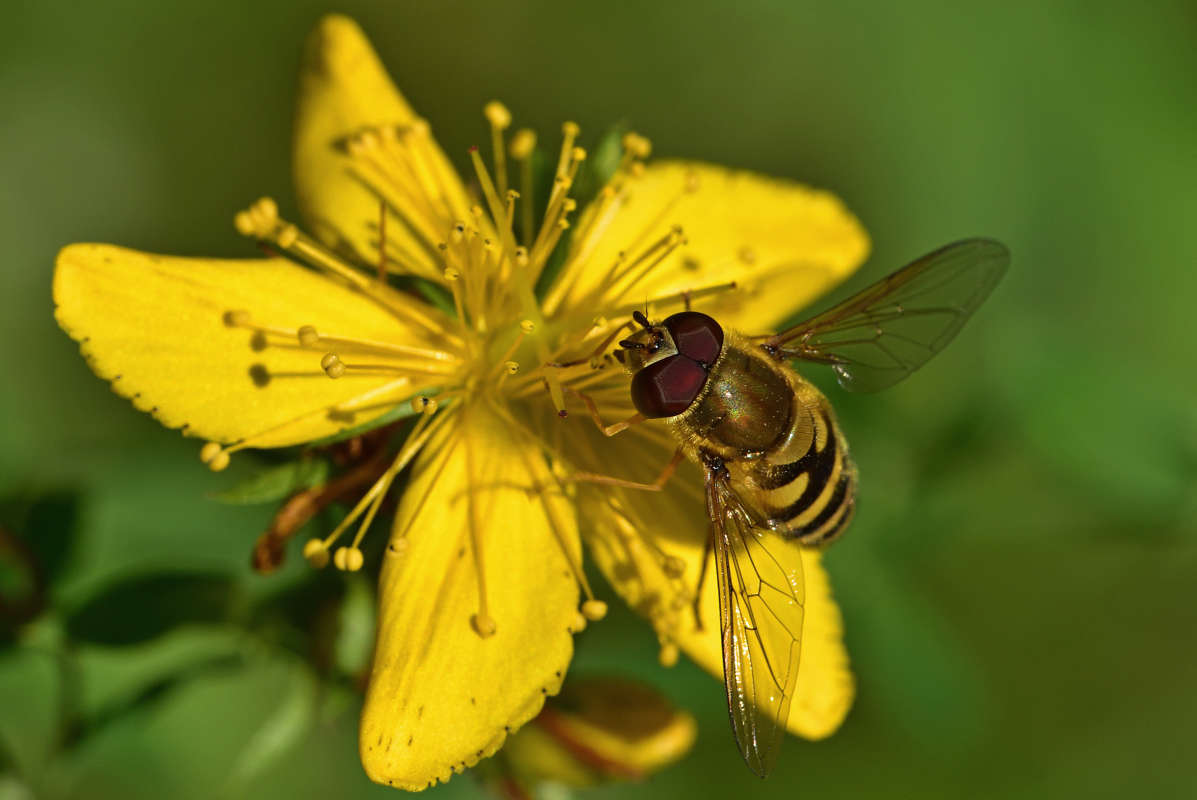 ... ����� �����  �� PhotoGeek.ru #�����