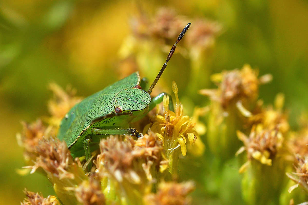 ...     PhotoGeek.ru #