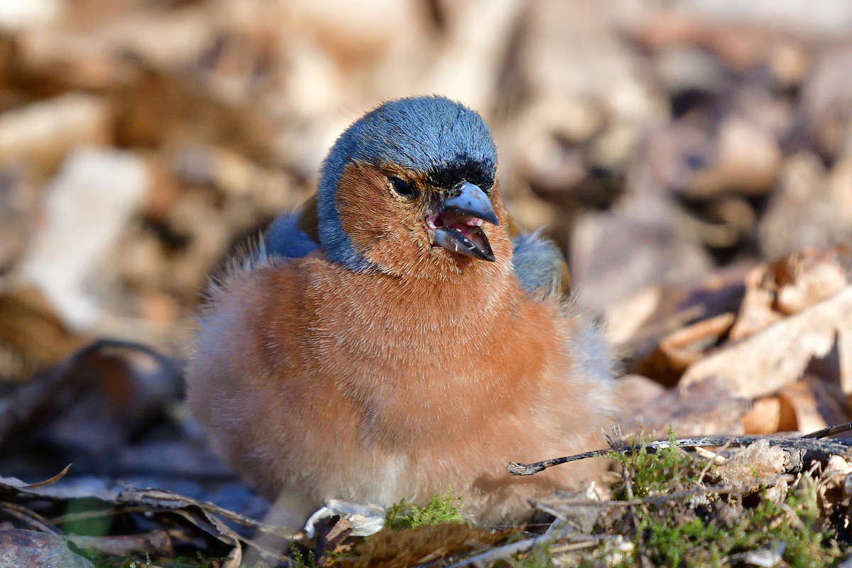 ... ����� �����  �� PhotoGeek.ru #�������� ���