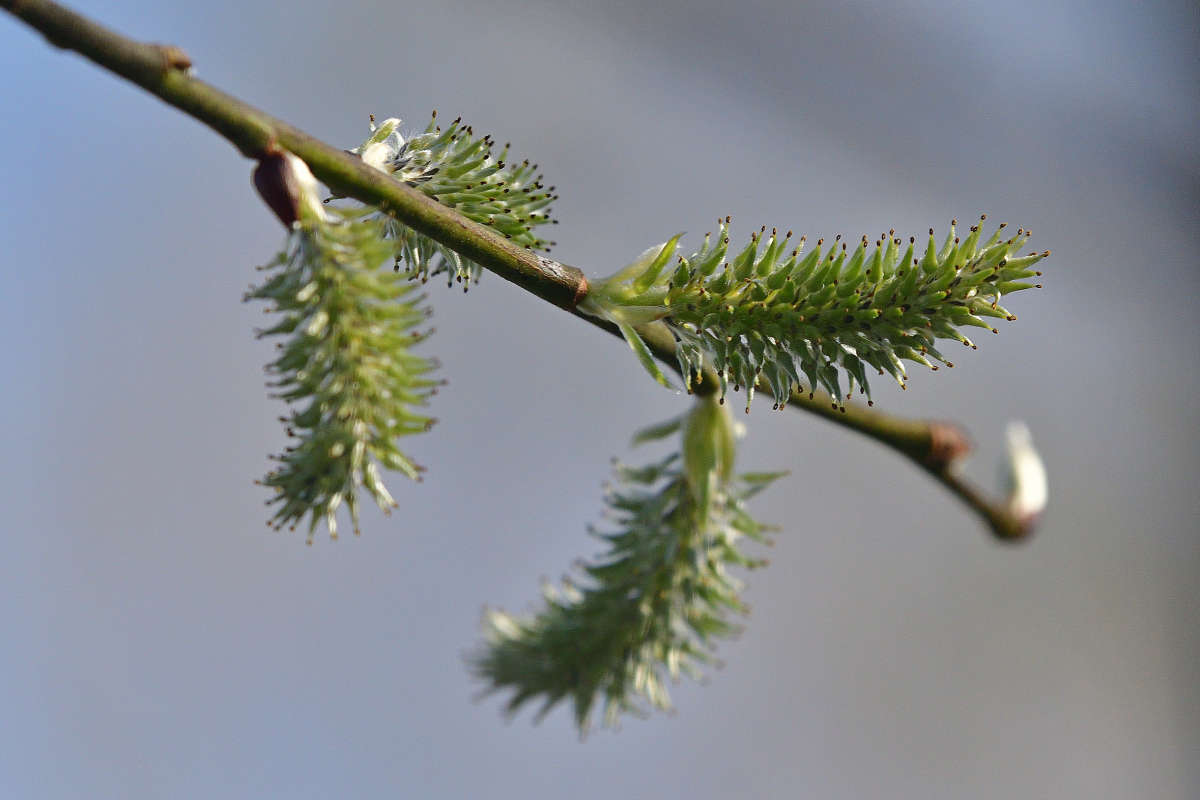 ... ����� �����  �� PhotoGeek.ru #������ ��� ������� #����� ��������������