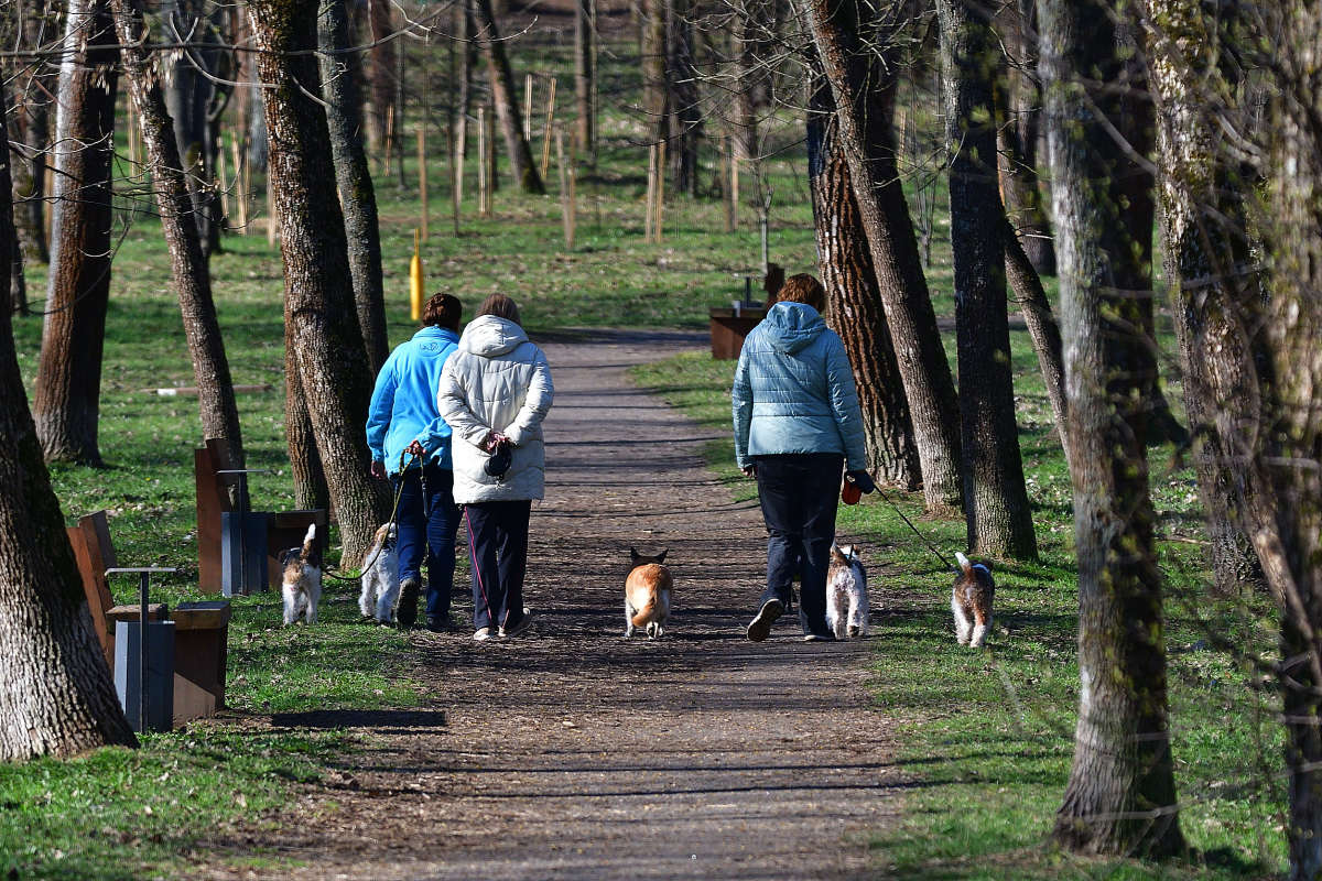 ... ����� �����  �� PhotoGeek.ru #�������� ����������