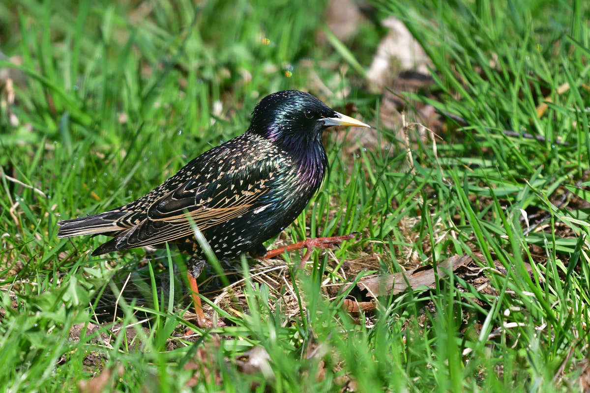 ... ����� �����  �� PhotoGeek.ru #�������� ���